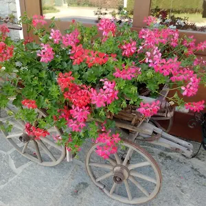  Bed & Breakfast Del Contadino